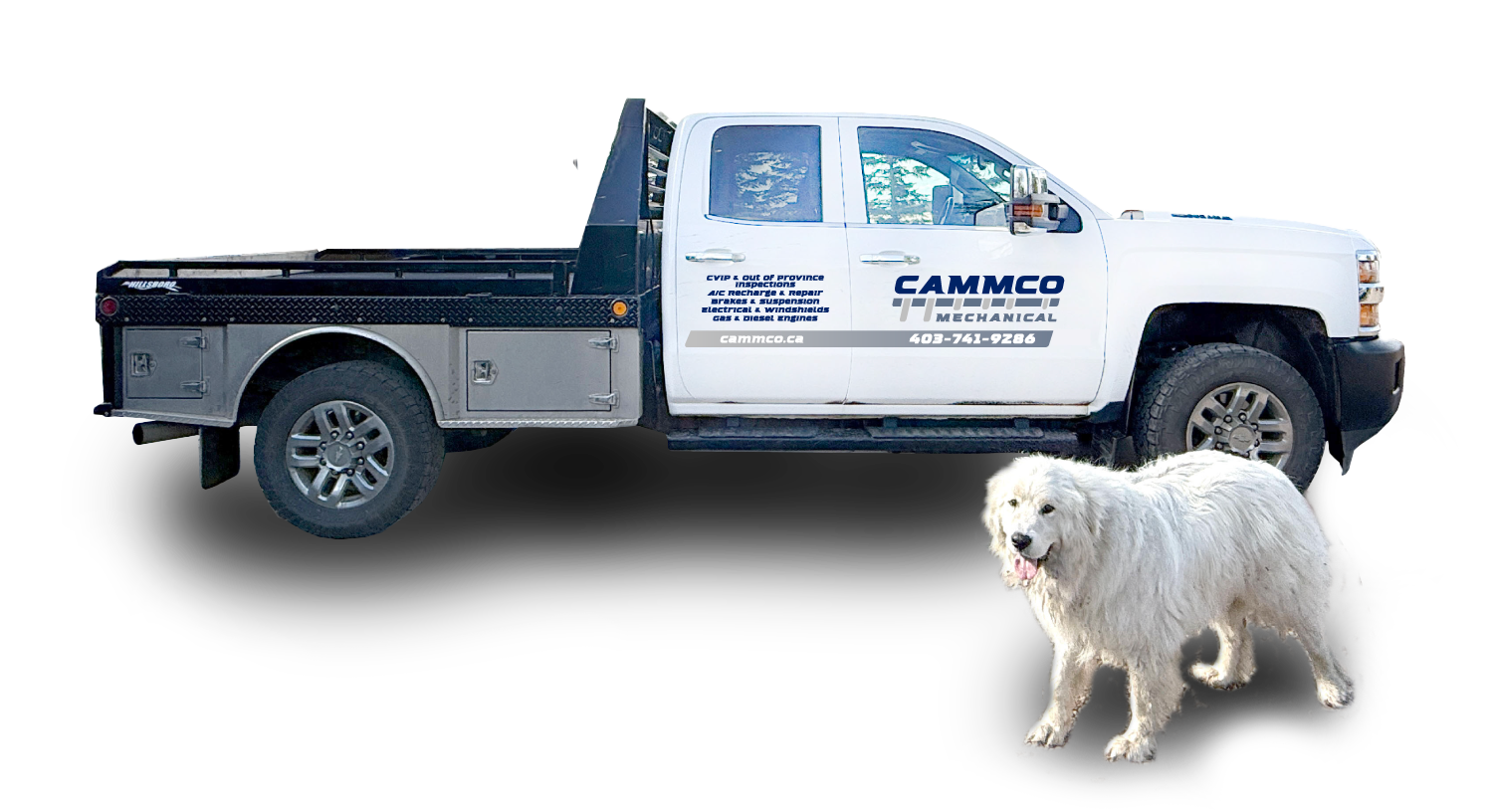 cammco vehicle